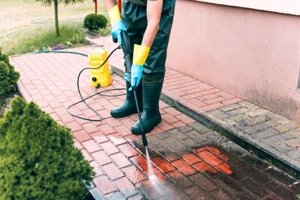 Best Roof Washing  in Poteet, TX